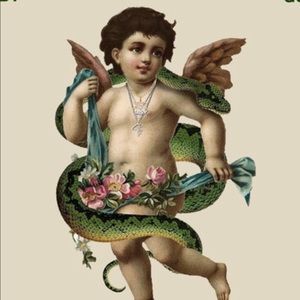 Meet your Posher, Kade